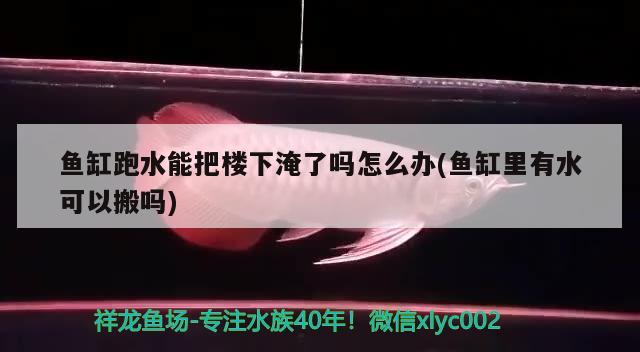 魚缸跑水能把樓下淹了嗎怎么辦(魚缸里有水可以搬嗎) 養(yǎng)魚知識