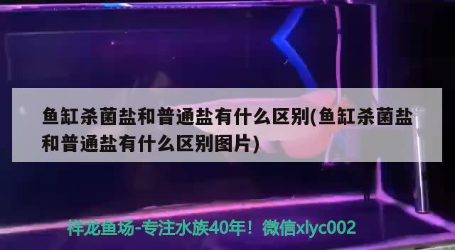 魚缸殺菌鹽和普通鹽有什么區(qū)別(魚缸殺菌鹽和普通鹽有什么區(qū)別圖片)