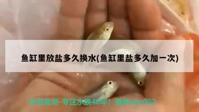 魚缸里放鹽多久換水(魚缸里鹽多久加一次) 照明器材