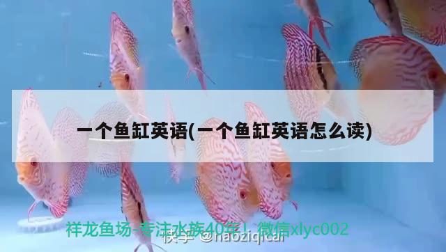 一個魚缸英語(一個魚缸英語怎么讀) 其它水族用具設備