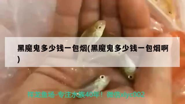 黑魔鬼多少錢一包煙(黑魔鬼多少錢一包煙啊) 觀賞魚