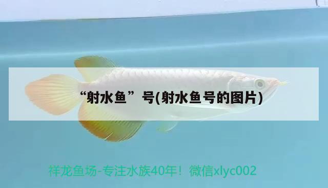 “射水魚”號(射水魚號的圖片)