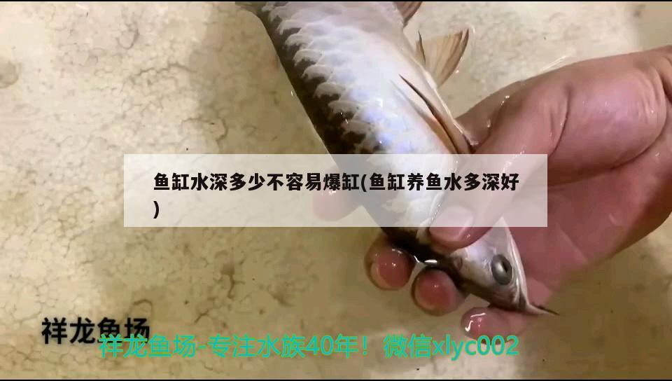 魚缸水深多少不容易爆缸(魚缸養(yǎng)魚水多深好)