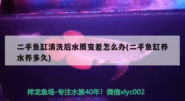 二手魚缸清洗后水質變差怎么辦(二手魚缸養(yǎng)水養(yǎng)多久) 黑帝王魟魚