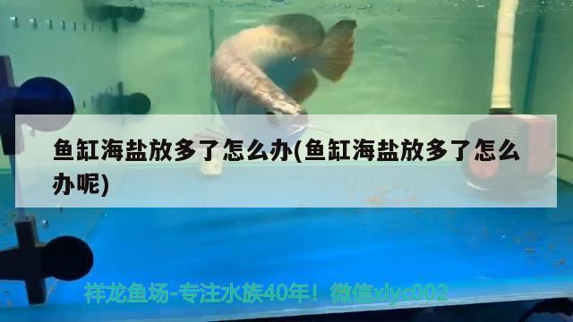 魚(yú)缸海鹽放多了怎么辦(魚(yú)缸海鹽放多了怎么辦呢) 潛水泵