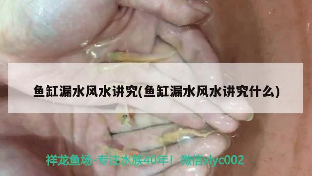 魚缸漏水風水講究(魚缸漏水風水講究什么)