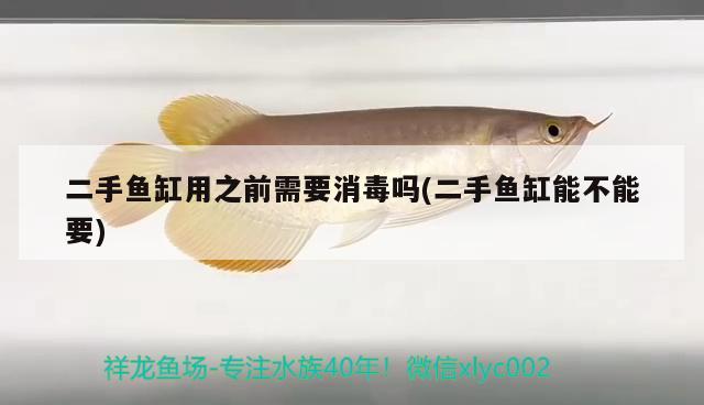 二手魚缸用之前需要消毒嗎(二手魚缸能不能要)