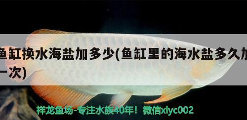 魚缸換水海鹽加多少(魚缸里的海水鹽多久加一次)