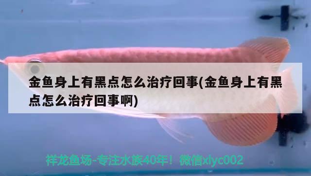 金魚身上有黑點怎么治療回事(金魚身上有黑點怎么治療回事啊)