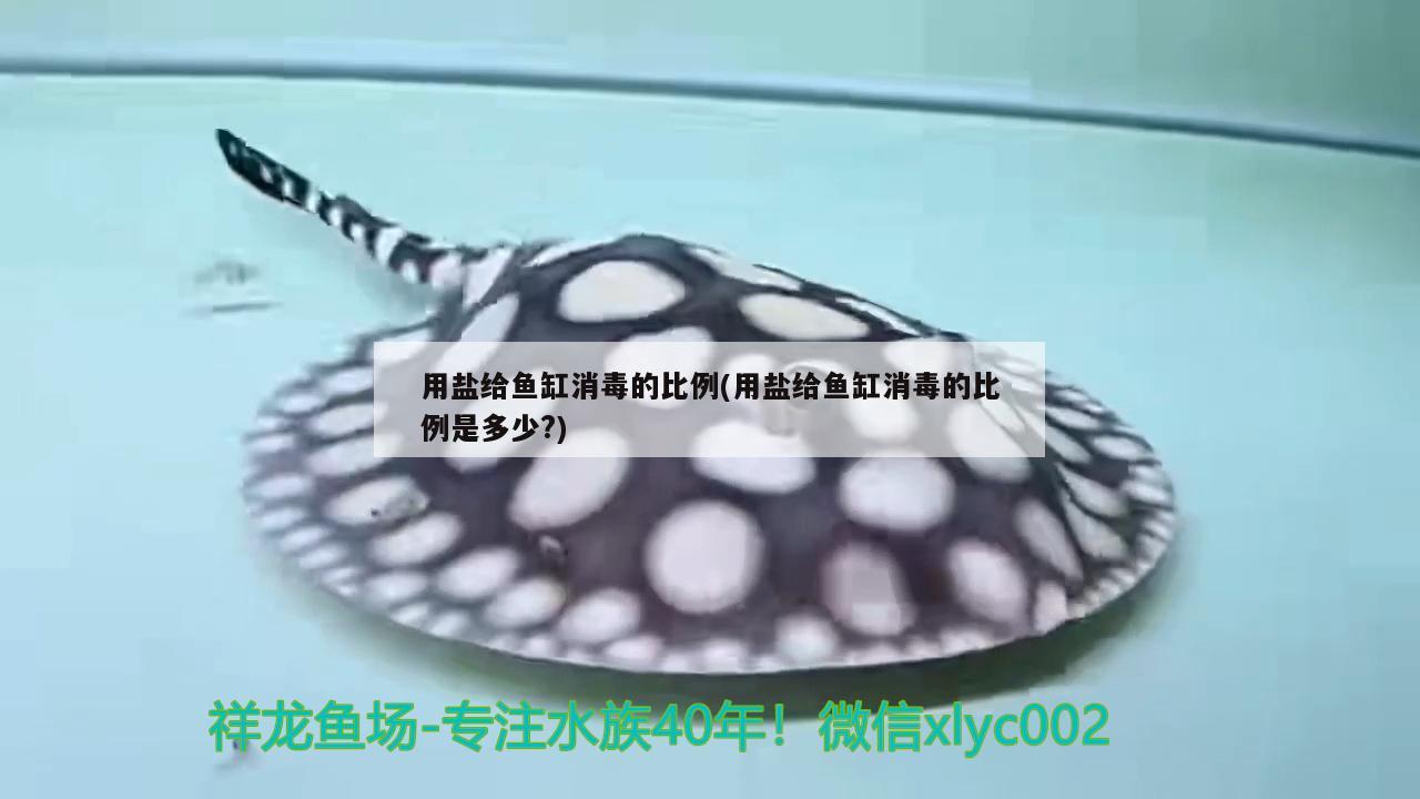 用鹽給魚缸消毒的比例(用鹽給魚缸消毒的比例是多少?)