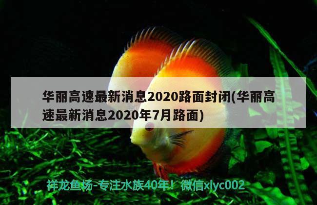 華麗高速最新消息2020路面封閉(華麗高速最新消息2020年7月路面) 觀賞魚