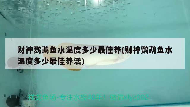 財神鸚鵡魚水溫度多少最佳養(yǎng)(財神鸚鵡魚水溫度多少最佳養(yǎng)活)