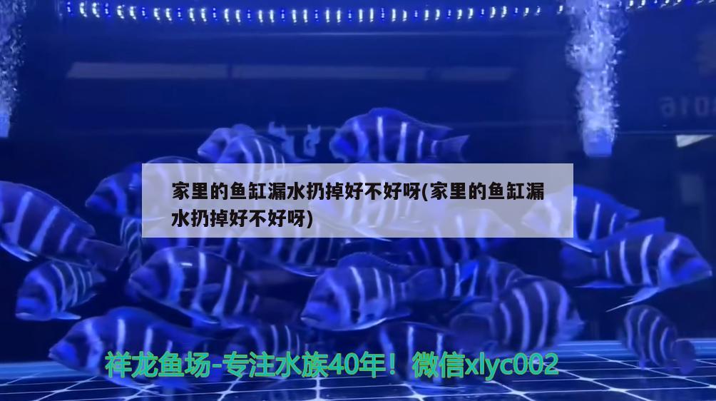 家里的魚(yú)缸漏水扔掉好不好呀(家里的魚(yú)缸漏水扔掉好不好呀) 觀賞魚(yú)市場(chǎng)