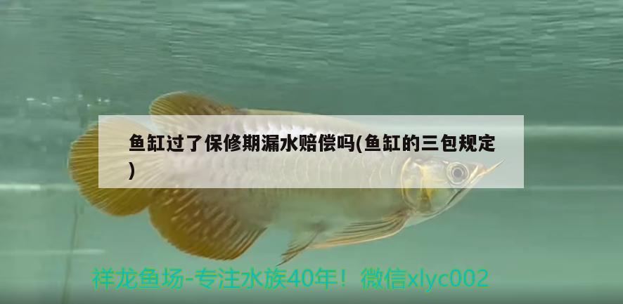 魚缸過了保修期漏水賠償嗎(魚缸的三包規(guī)定)