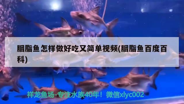 胭脂魚怎樣做好吃又簡單視頻(胭脂魚百度百科)