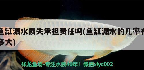 魚缸漏水損失承擔責任嗎(魚缸漏水的幾率有多大)