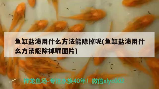 魚缸鹽漬用什么方法能除掉呢(魚缸鹽漬用什么方法能除掉呢圖片)