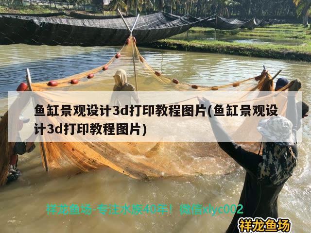 魚缸景觀設(shè)計3d打印教程圖片(魚缸景觀設(shè)計3d打印教程圖片)