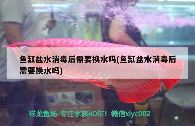 魚(yú)缸鹽水消毒后需要換水嗎(魚(yú)缸鹽水消毒后需要換水嗎)