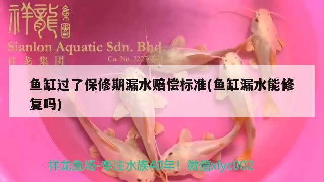 魚(yú)缸過(guò)了保修期漏水賠償標(biāo)準(zhǔn)(魚(yú)缸漏水能修復(fù)嗎) 肺魚(yú)