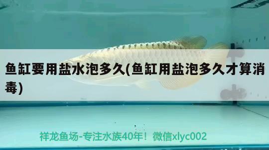 魚缸要用鹽水泡多久(魚缸用鹽泡多久才算消毒)