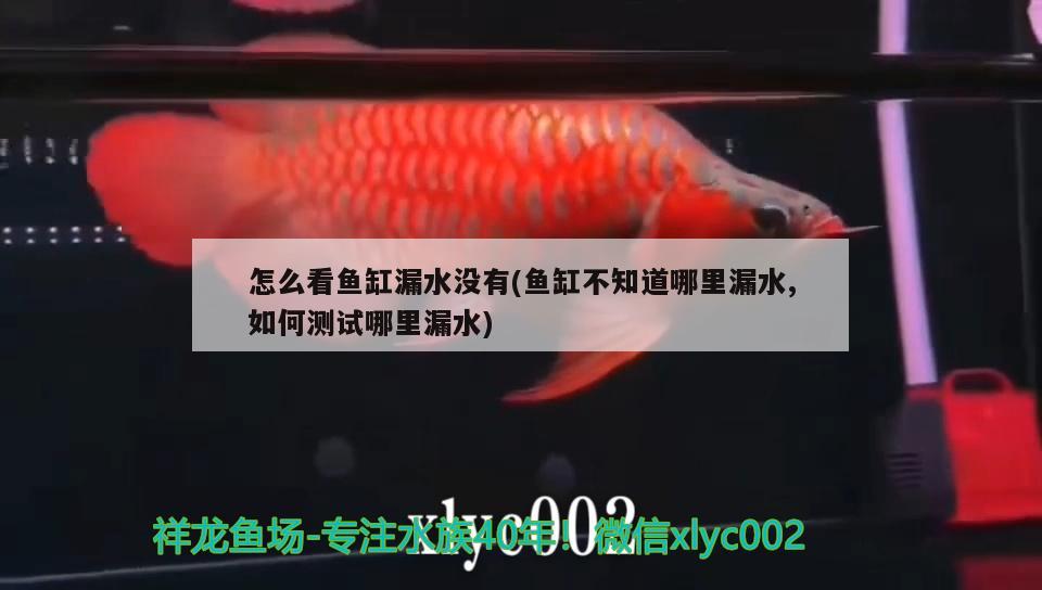 怎么看魚缸漏水沒有(魚缸不知道哪里漏水,如何測試哪里漏水) 森森魚缸