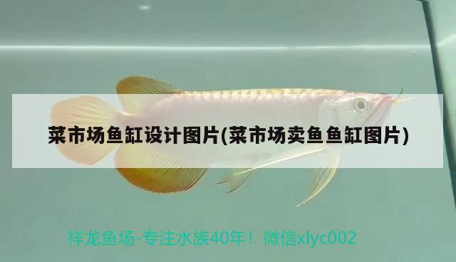 菜市場(chǎng)魚缸設(shè)計(jì)圖片(菜市場(chǎng)賣魚魚缸圖片)