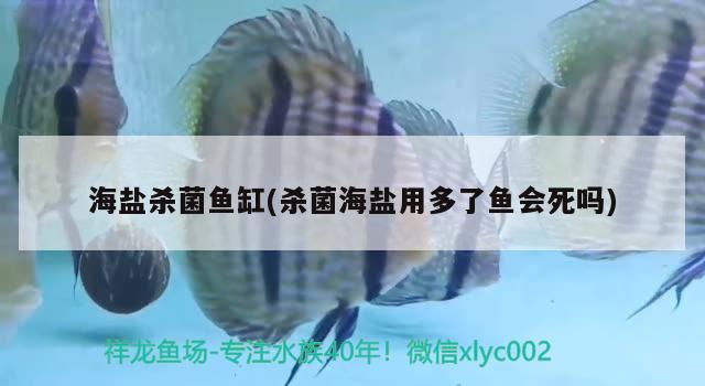 海鹽殺菌魚缸(殺菌海鹽用多了魚會死嗎)