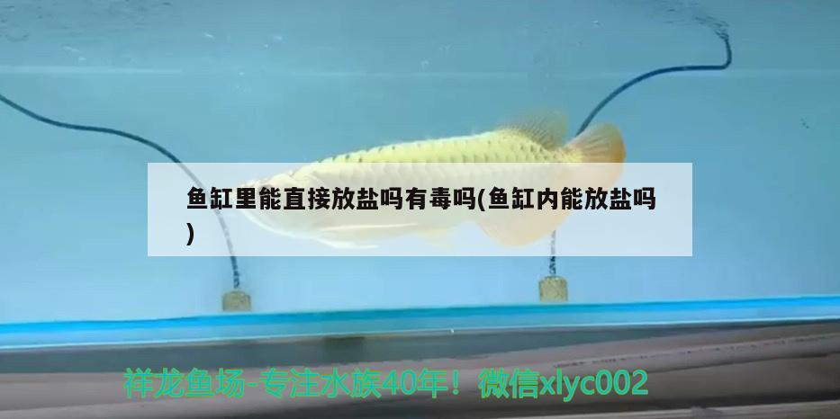 魚缸里能直接放鹽嗎有毒嗎(魚缸內(nèi)能放鹽嗎)