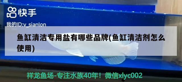 魚缸清潔專用鹽有哪些品牌(魚缸清潔劑怎么使用) 杰西卡恐龍魚