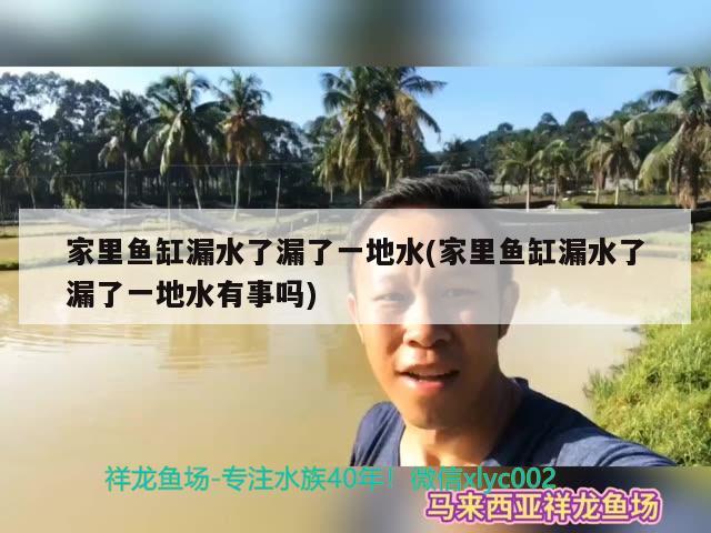 家里魚缸漏水了漏了一地水(家里魚缸漏水了漏了一地水有事嗎) 黃金河虎魚