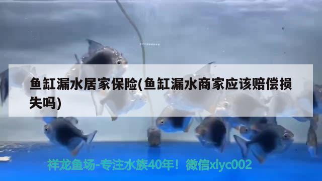 魚缸漏水居家保險(魚缸漏水商家應該賠償損失嗎)