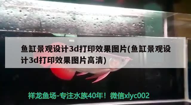 魚缸景觀設計3d打印效果圖片(魚缸景觀設計3d打印效果圖片高清) 廣州景觀設計