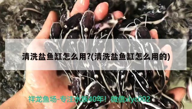 清洗鹽魚缸怎么用?(清洗鹽魚缸怎么用的) 杰西卡恐龍魚