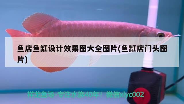 魚店魚缸設(shè)計(jì)效果圖大全圖片(魚缸店門頭圖片) 廣州水族器材濾材批發(fā)市場