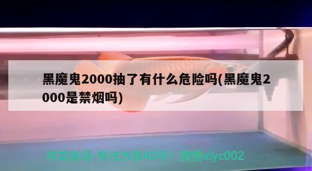 黑魔鬼2000抽了有什么危險(xiǎn)嗎(黑魔鬼2000是禁煙嗎)