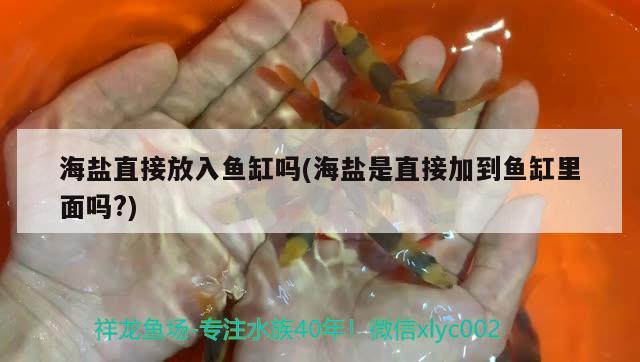 海鹽直接放入魚缸嗎(海鹽是直接加到魚缸里面嗎?)