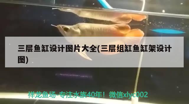 三層魚缸設計圖片大全(三層組缸魚缸架設計圖)