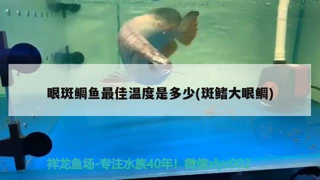 眼斑鯛魚最佳溫度是多少(斑鰭大眼鯛)