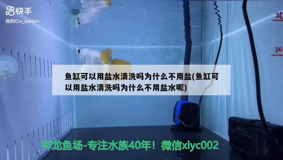 魚缸可以用鹽水清洗嗎為什么不用鹽(魚缸可以用鹽水清洗嗎為什么不用鹽水呢) 豹紋夫魚苗