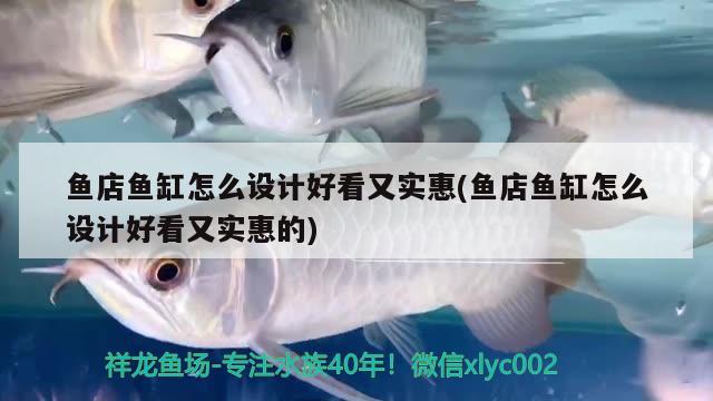 魚店魚缸怎么設(shè)計好看又實惠(魚店魚缸怎么設(shè)計好看又實惠的)