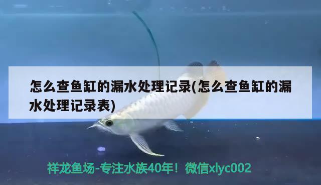 怎么查魚缸的漏水處理記錄(怎么查魚缸的漏水處理記錄表) 觀賞蝦蟹等飼料