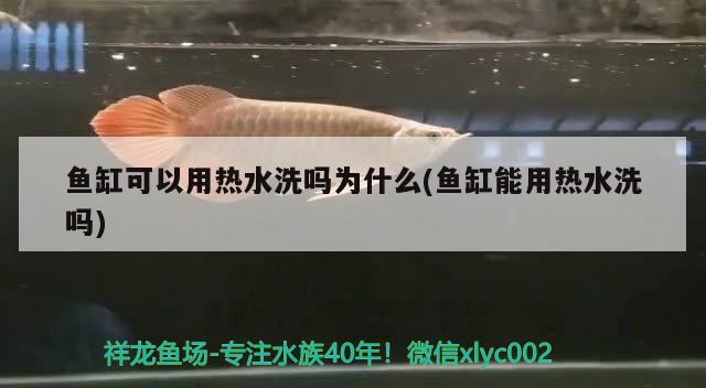 魚缸可以用熱水洗嗎為什么(魚缸能用熱水洗嗎) 黑云魚