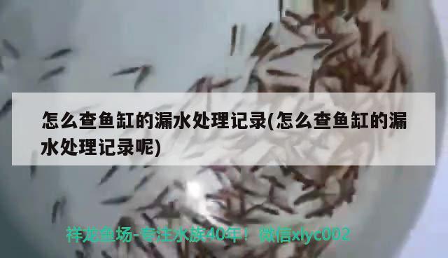 怎么查魚缸的漏水處理記錄(怎么查魚缸的漏水處理記錄呢) 泰國虎魚