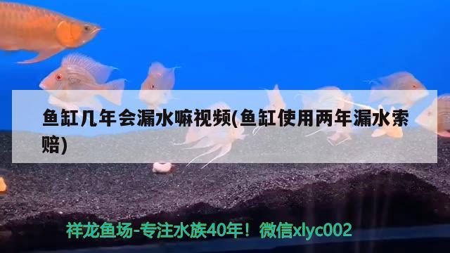 魚缸幾年會漏水嘛視頻(魚缸使用兩年漏水索賠) 帝王血鉆魚