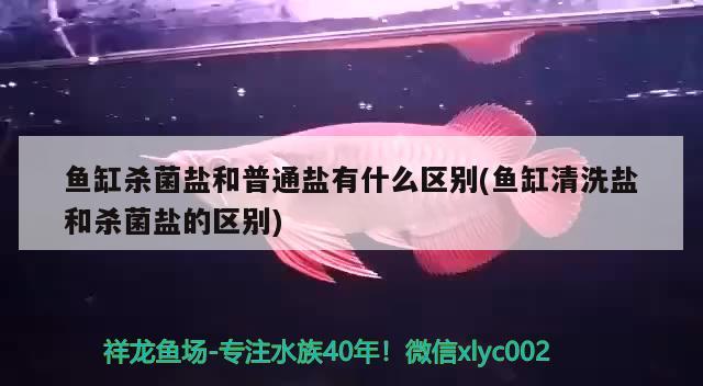 魚缸殺菌鹽和普通鹽有什么區(qū)別(魚缸清洗鹽和殺菌鹽的區(qū)別)