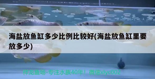 海鹽放魚缸多少比例比較好(海鹽放魚缸里要放多少) 青龍魚