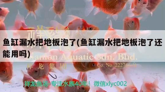 魚(yú)缸漏水把地板泡了(魚(yú)缸漏水把地板泡了還能用嗎)