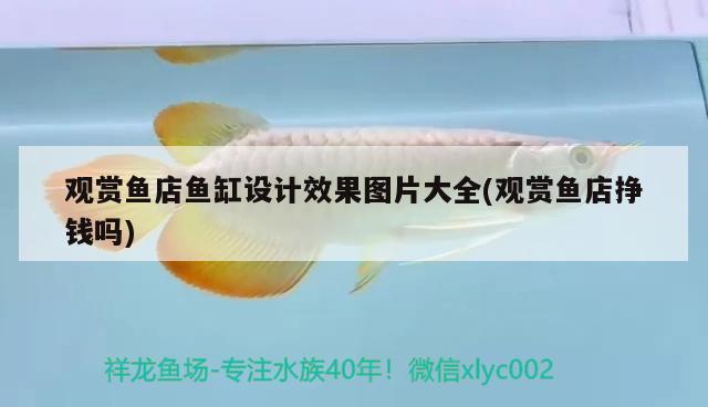 觀賞魚店魚缸設(shè)計(jì)效果圖片大全(觀賞魚店掙錢嗎) 眼斑魚