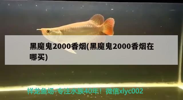 黑魔鬼2000香煙(黑魔鬼2000香煙在哪買)